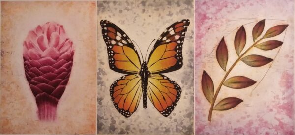 Biodiversité I,II,III (La terre aux millions de routes) – Image 2