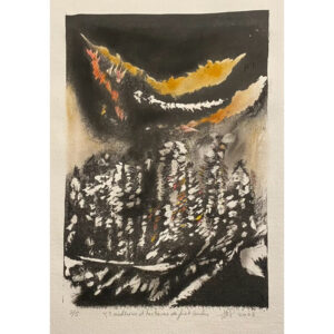 4,5 millions d’hectares de forêt brûlés - Jean-François PINSONNEAULT