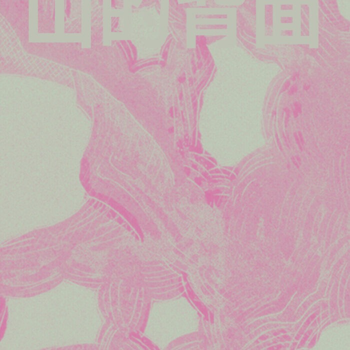    De l’autre côté des montagnes   Le Lin 