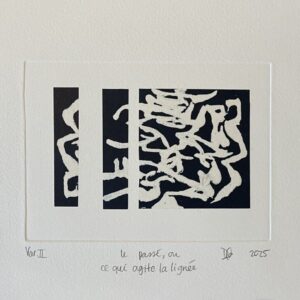 le passé, ou ce qui agite la lignée - Dominique CHOQUETTE